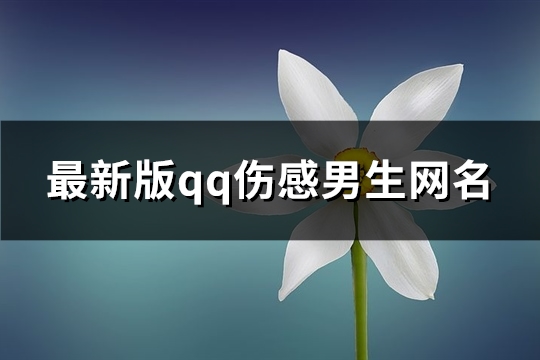 最新版qq伤感男生网名(112个)(qq伤感男生)
