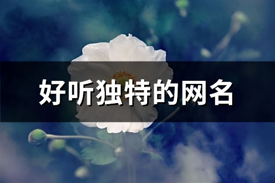 好听独特的网名(361个)(好听独特的网名四个字)
