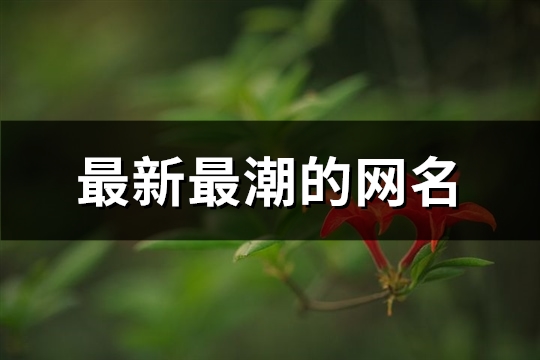 最新最潮的网名(精选113个)(最新最潮的网名男)