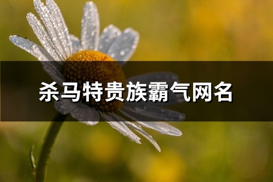 杀马特贵族霸气网名(共78个)(杀马特贵族霸气网名女)