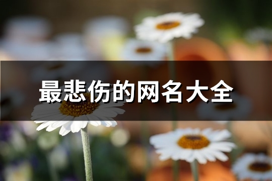 最悲伤的网名大全(100个)(全网最悲伤的网名)