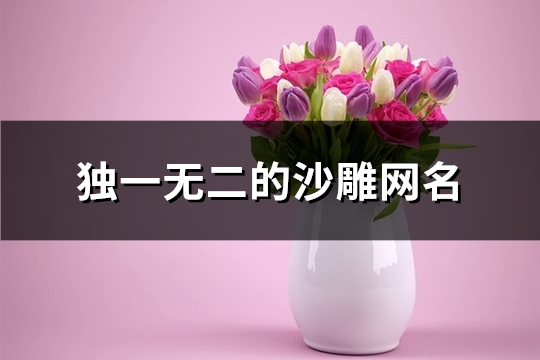 独一无二的沙雕网名(192个)(独一无二的沙雕名字)