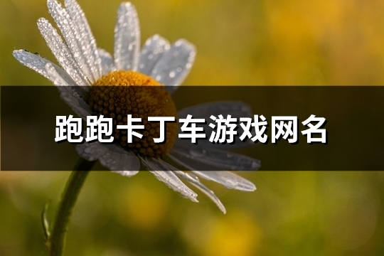跑跑卡丁车游戏网名(共187个)(跑跑卡丁车游戏攻略)