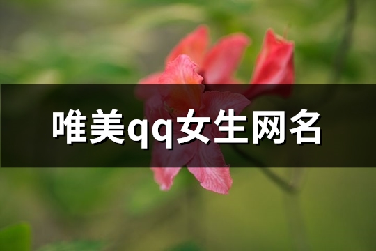唯美qq女生网名(共224个)(唯美的qq网名女生)