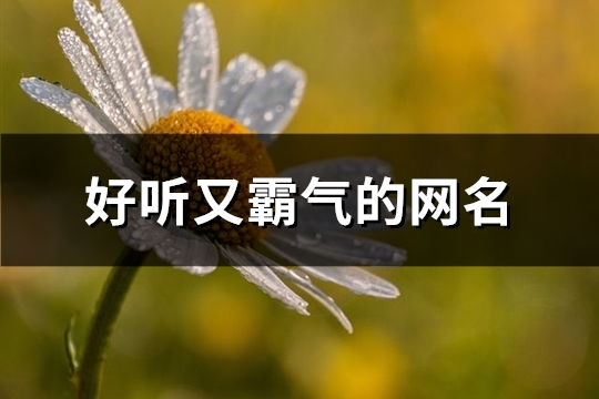 好听又霸气的网名(精选240个)(好听又霸气的网名二字)