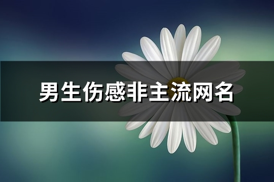 男生伤感非主流网名(优选143个)(男生伤感非主流文案)