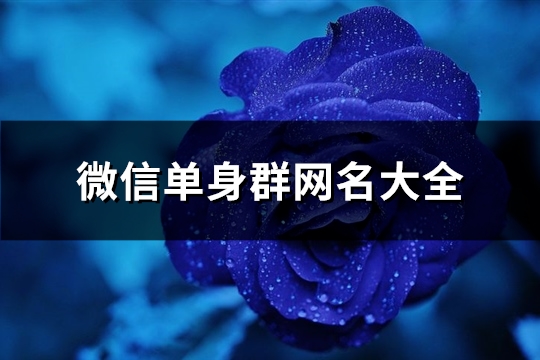 微信单身群网名大全(优选370个)(单身群网名怎么起名字)