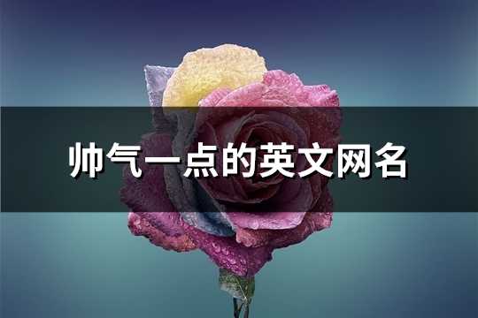 帅气一点的英文网名(共124个)(帅气一点的英文单词)