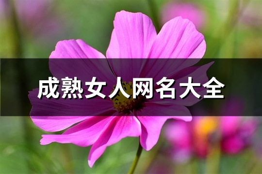 成熟女人网名大全(精选507个)(成熟女人网名大全2022最新版图片)