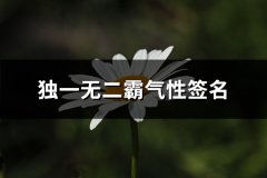 独一无二霸气性签名(83句)