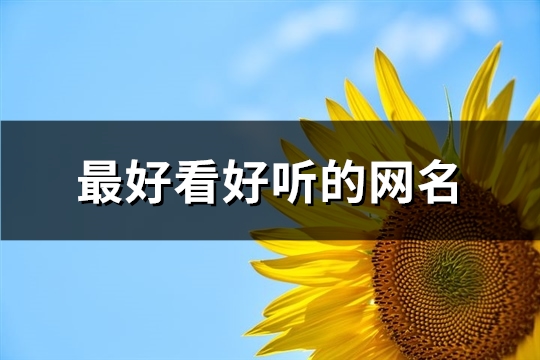 最好看好听的网名(192个)(好看的网好听的网名)
