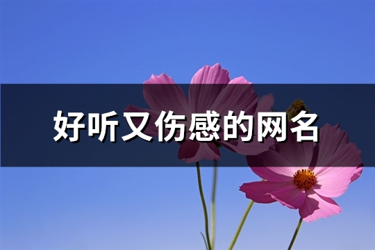 好听又伤感的网名(精选386个)(好听又伤感的网名六个字)