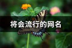 将会流行的网名(505个)