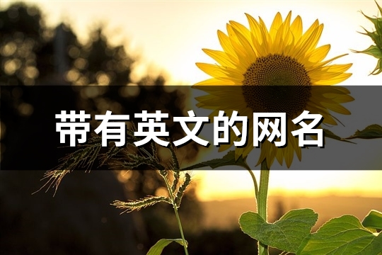 带有英文的网名(共224个) 带有英文的网名格式
