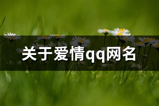 关于爱情qq网名(87个)(关于爱情qq网名大全)