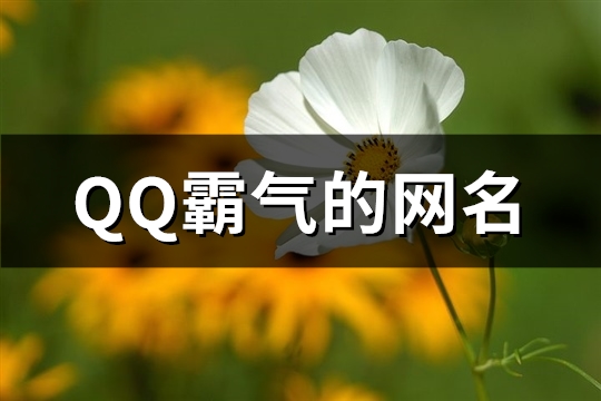 QQ霸气的网名(共360个)
