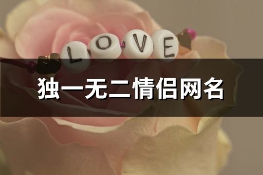 独一无二情侣网名(共87个)(独一无二情侣网名英文)