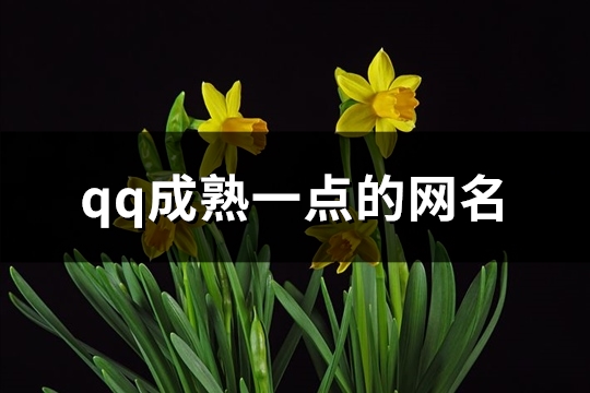 qq成熟一点的网名(精选292个)(qq成熟一点的网名男生)