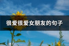 很爱很爱女朋友的句子(精选91句)