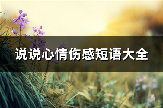 说说心情伤感短语大全(热门70句) 说说心情伤感简短