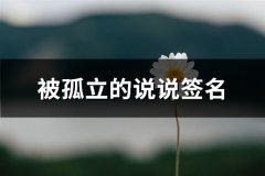 被孤立的说说签名(68句)