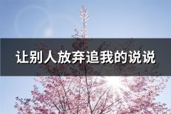 让别人放弃追我的说说(精选59句)