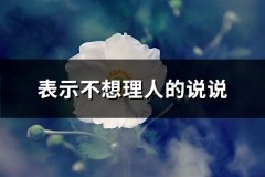 表示不想理人的说说(热门67句)