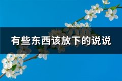 有些东西该放下的说说(汇总108句)