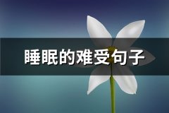 睡眠的难受句子(推荐105句)