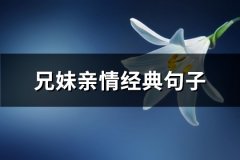 兄妹亲情经典句子(通用57句)