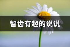 智齿有趣的说说(汇总72句)