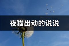 夜猫出动的说说(通用32句)