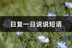 日复一日说说短语(通用62句)