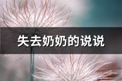 失去奶奶的说说(优选60句)
