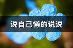 说自己懒的说说(汇总31句)