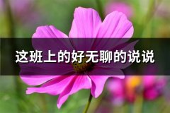 这班上的好无聊的说说(通用58句)