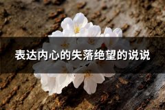 表达内心的失落绝望的说说(优选107句)