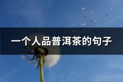 一个人品普洱茶的句子(必备64句)