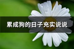 累成狗的日子充实说说(精选76句)