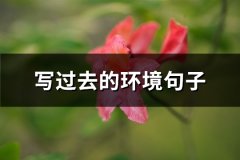 写过去的环境句子(47句)
