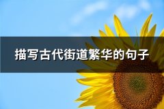 描写古代街道繁华的句子(共62句)