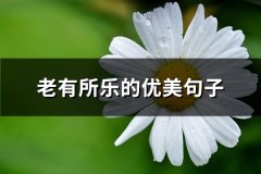 老有所乐的优美句子(共62句)