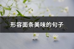 形容面条美味的句子(精选66句)