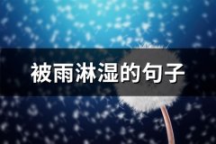 被雨淋湿的句子(通用95句)