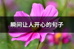 瞬间让人开心的句子(实用95句)