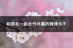 和朋友一起合作共赢的微博句子(必备68句)