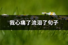 我心痛了流泪了句子(精选103句)