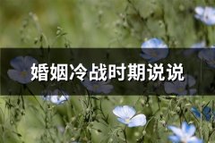 婚姻冷战时期说说(必备60句)
