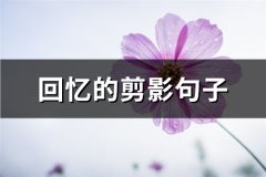 回忆的剪影句子(共61句)