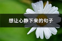 想让心静下来的句子(必备45句)